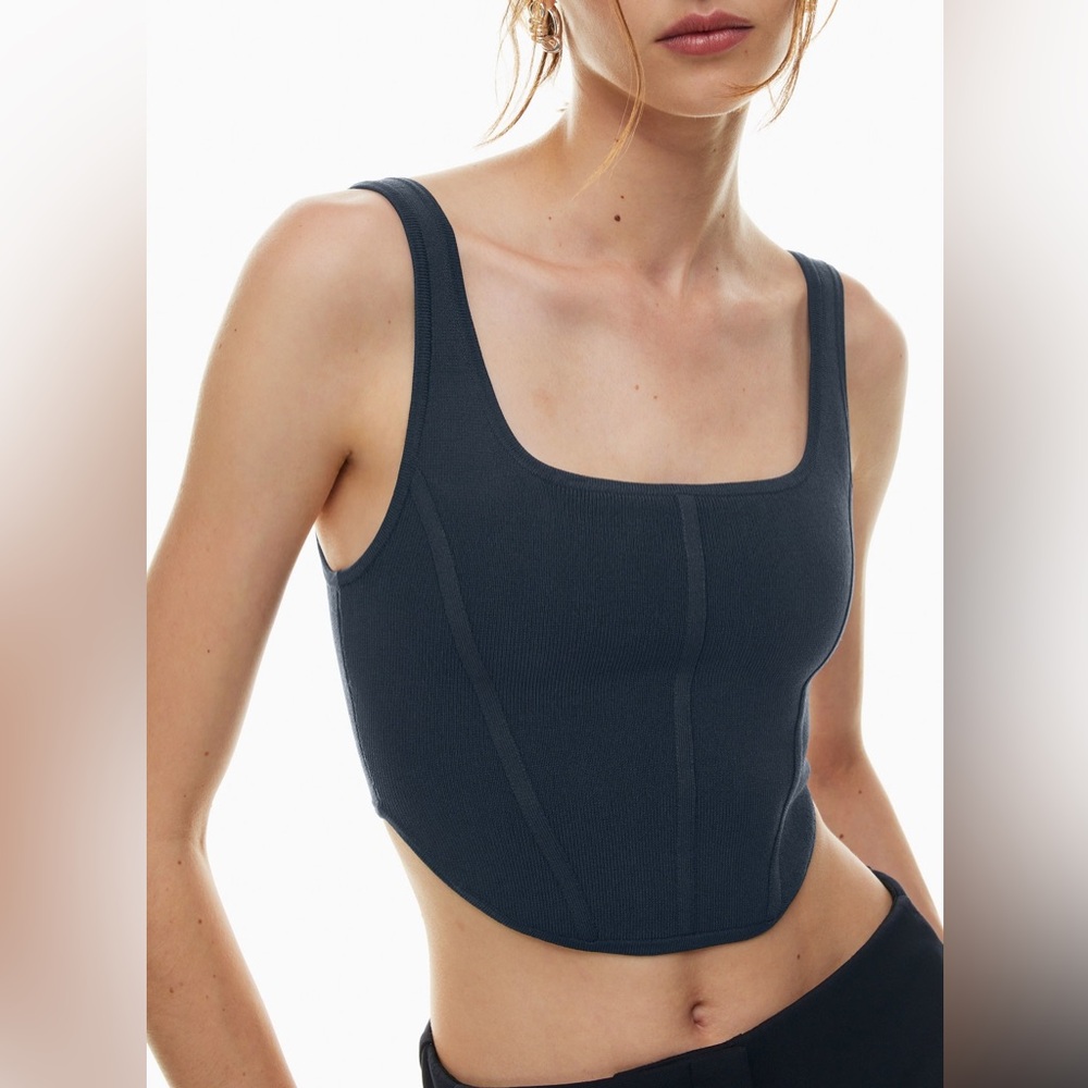 Aritzia Sculpt Knit Bustier Tank NWOT